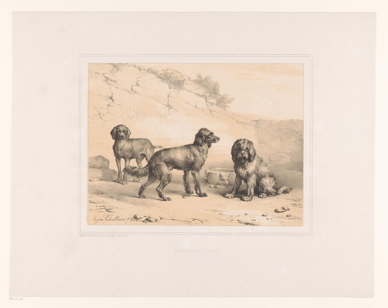 Tre hunder Ulike dyr (serietittel) Etudes d