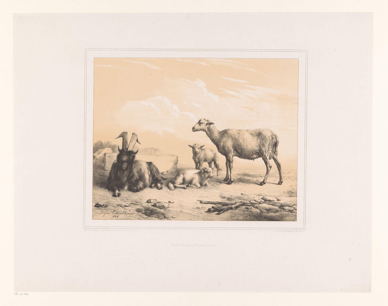 Geit, sau og to lam Ulike dyr (serietittel) Etudes d
