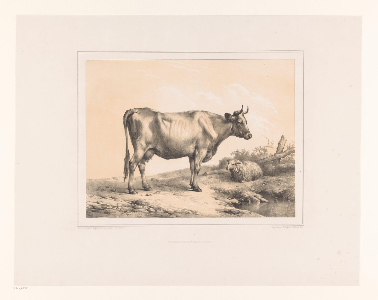 Ku og sau i et landskap Diverse dyr (serietittel) Études d'Animaux (serietittel) av Eugène Verboeckhoven
