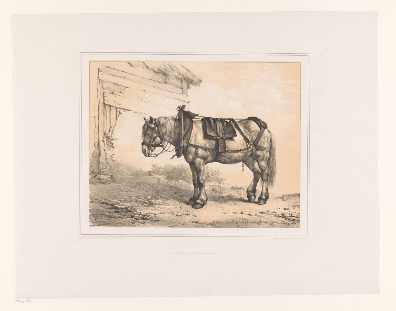 Hest med sal og grime Ulike dyr (serietittel) Etudes d