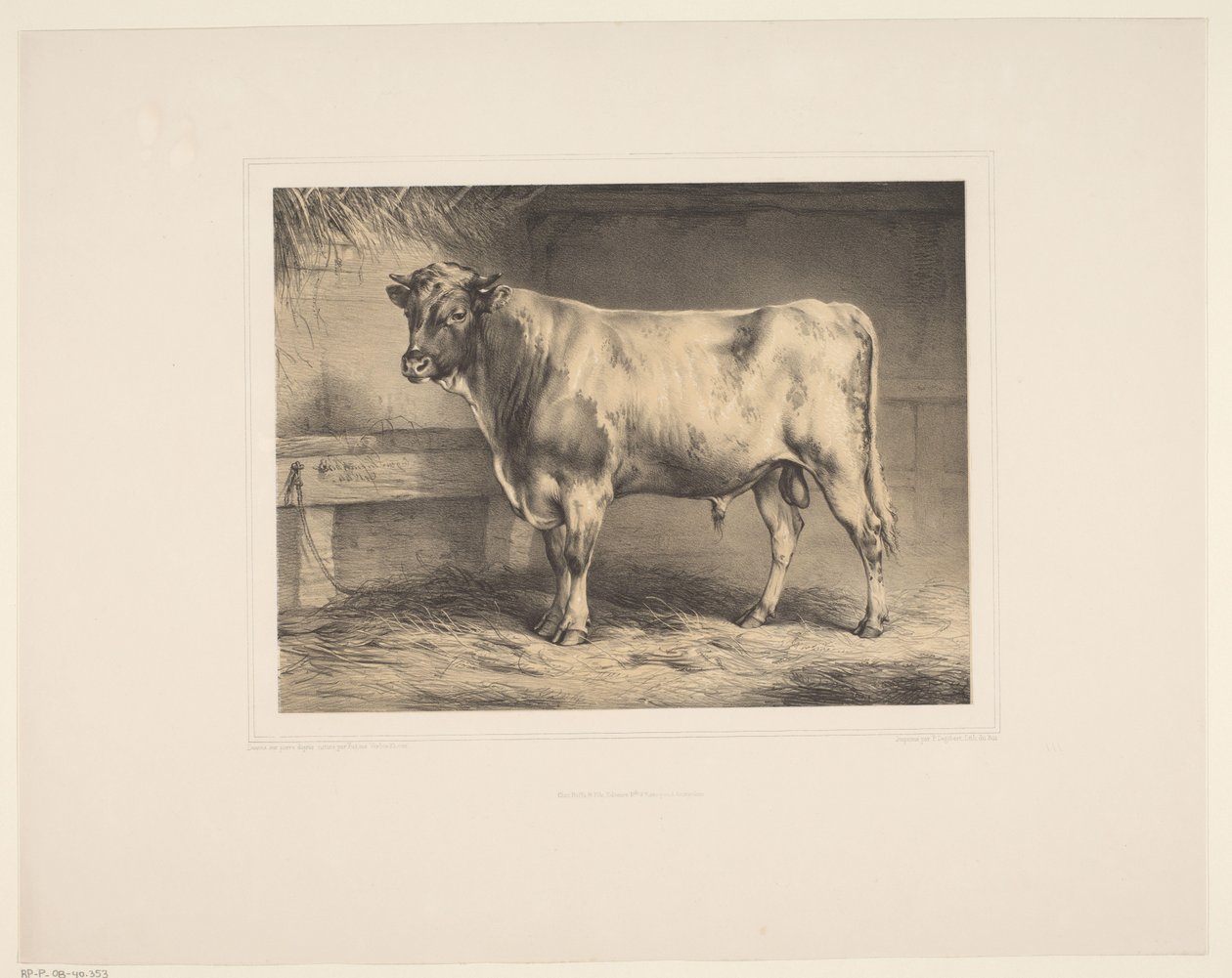 Stier Diverse dieren (serietittel) Animal Studies (serietittel) av Eugène Verboeckhoven