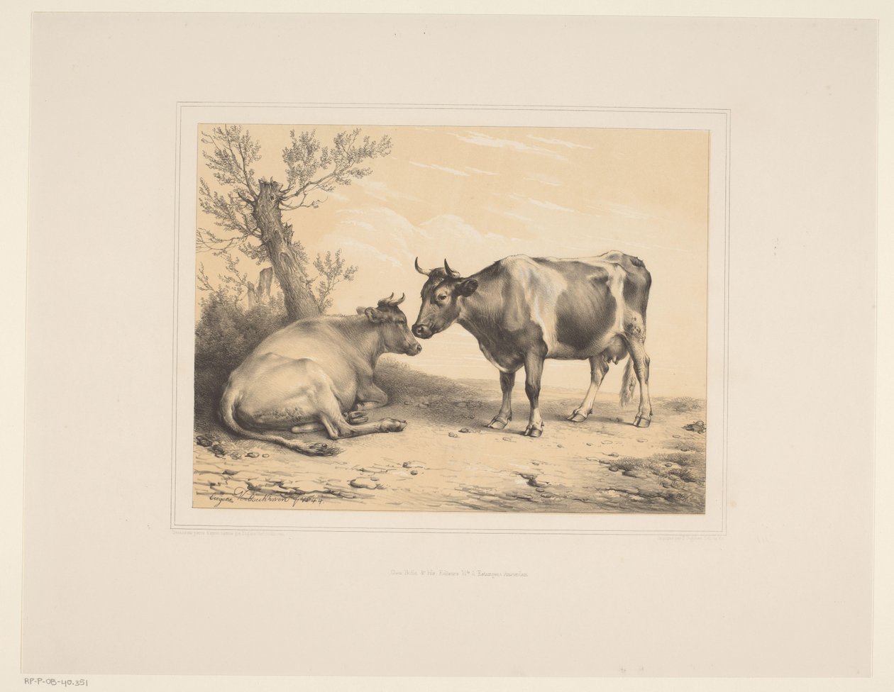 To kyr Ulike dyr (serietittel) Etudes d