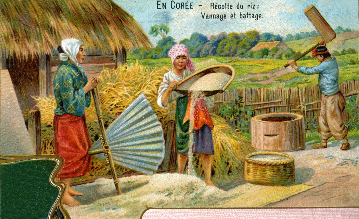 Rishøsten i Korea, vining og tresking, 1904 av European School