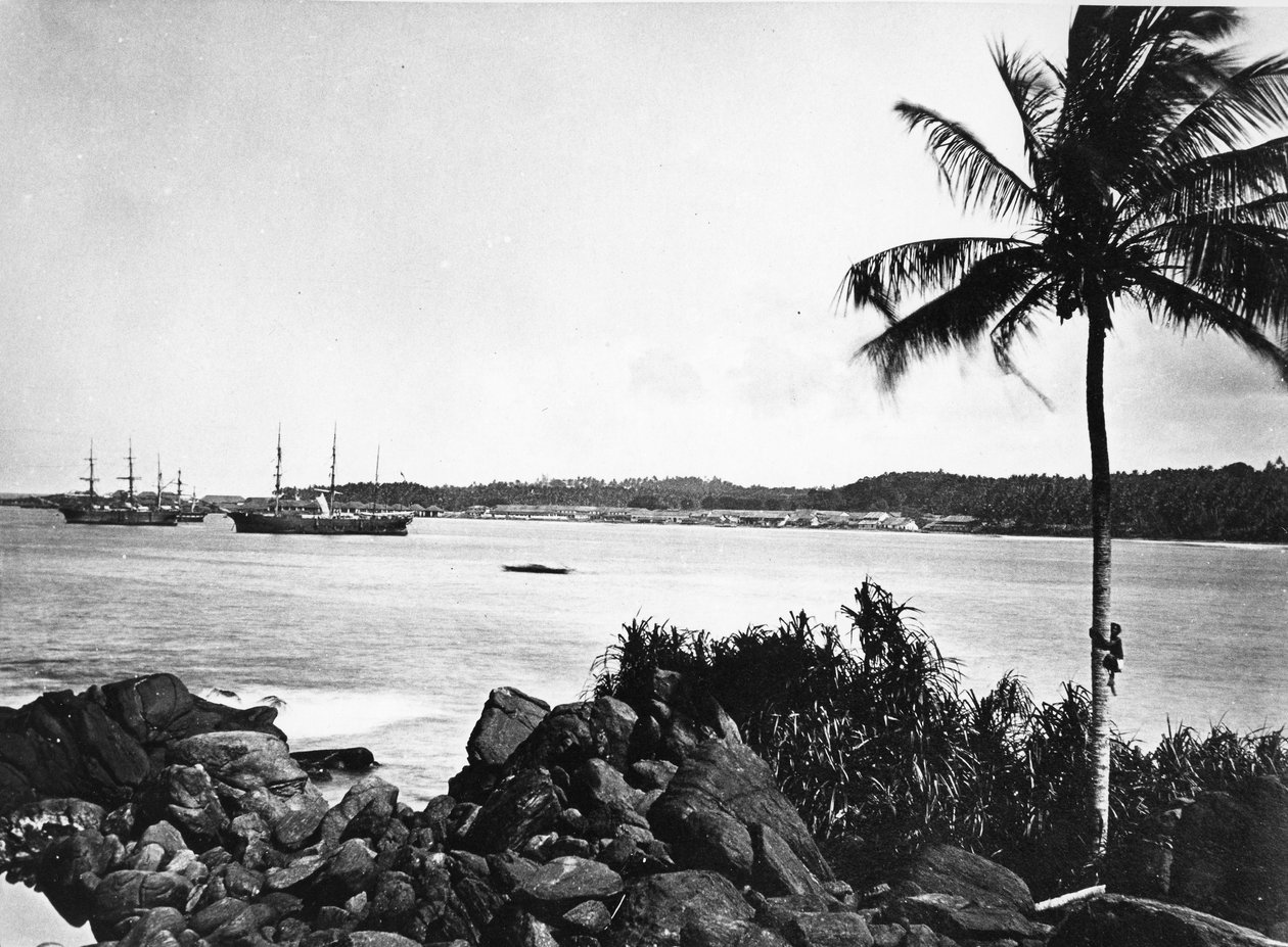 Colombo havn, ca. 1860-80 av European Photographer