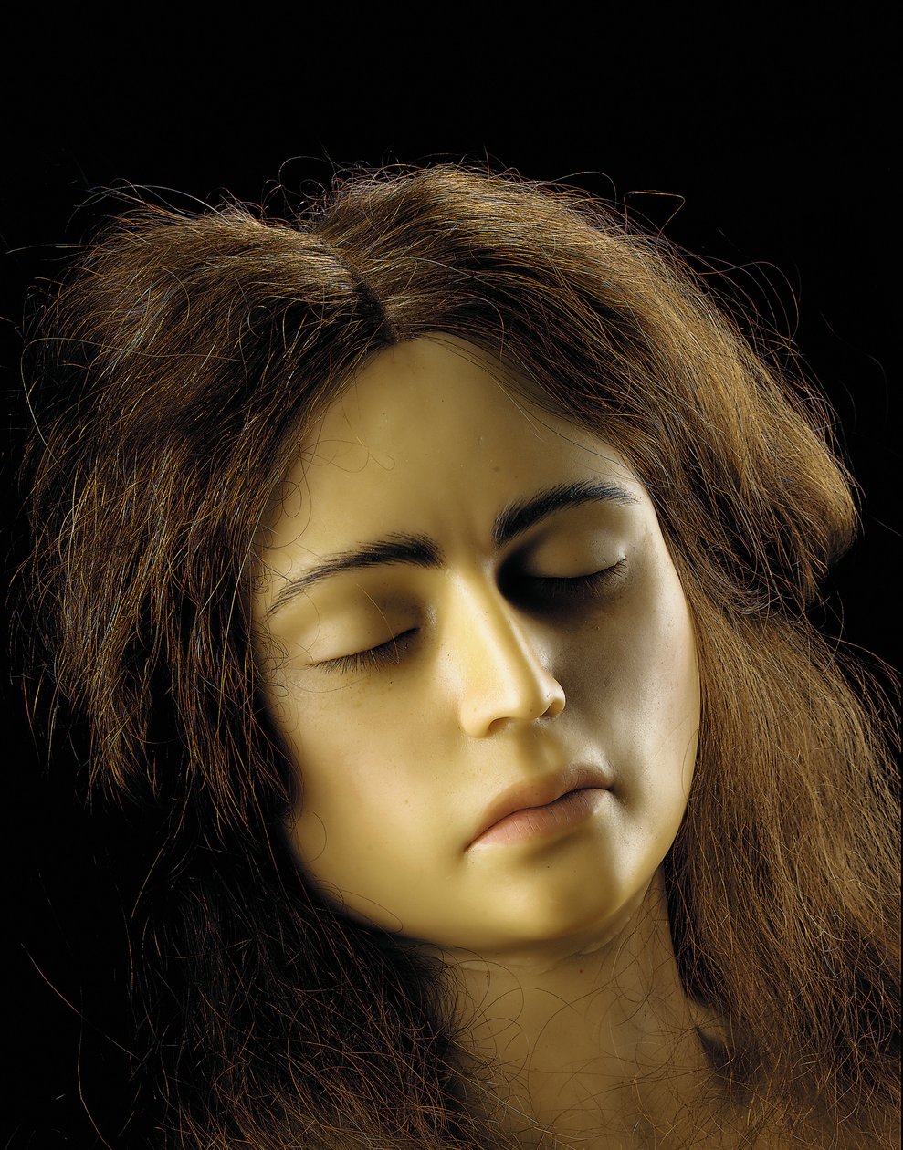 Anatomisk modell av en eggstokkgraviditet, detalj av European School