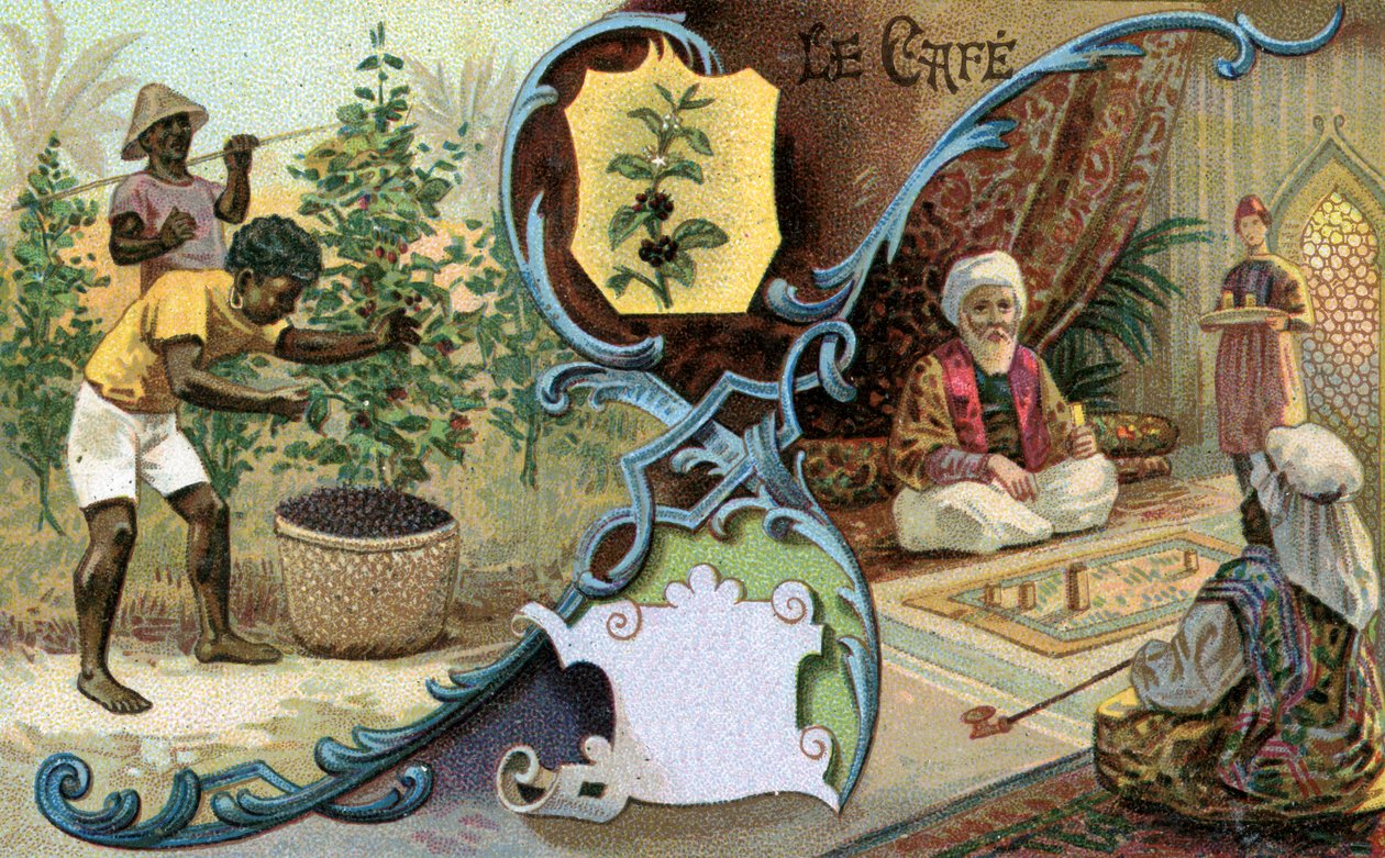 Kaffe, 1899 av European School