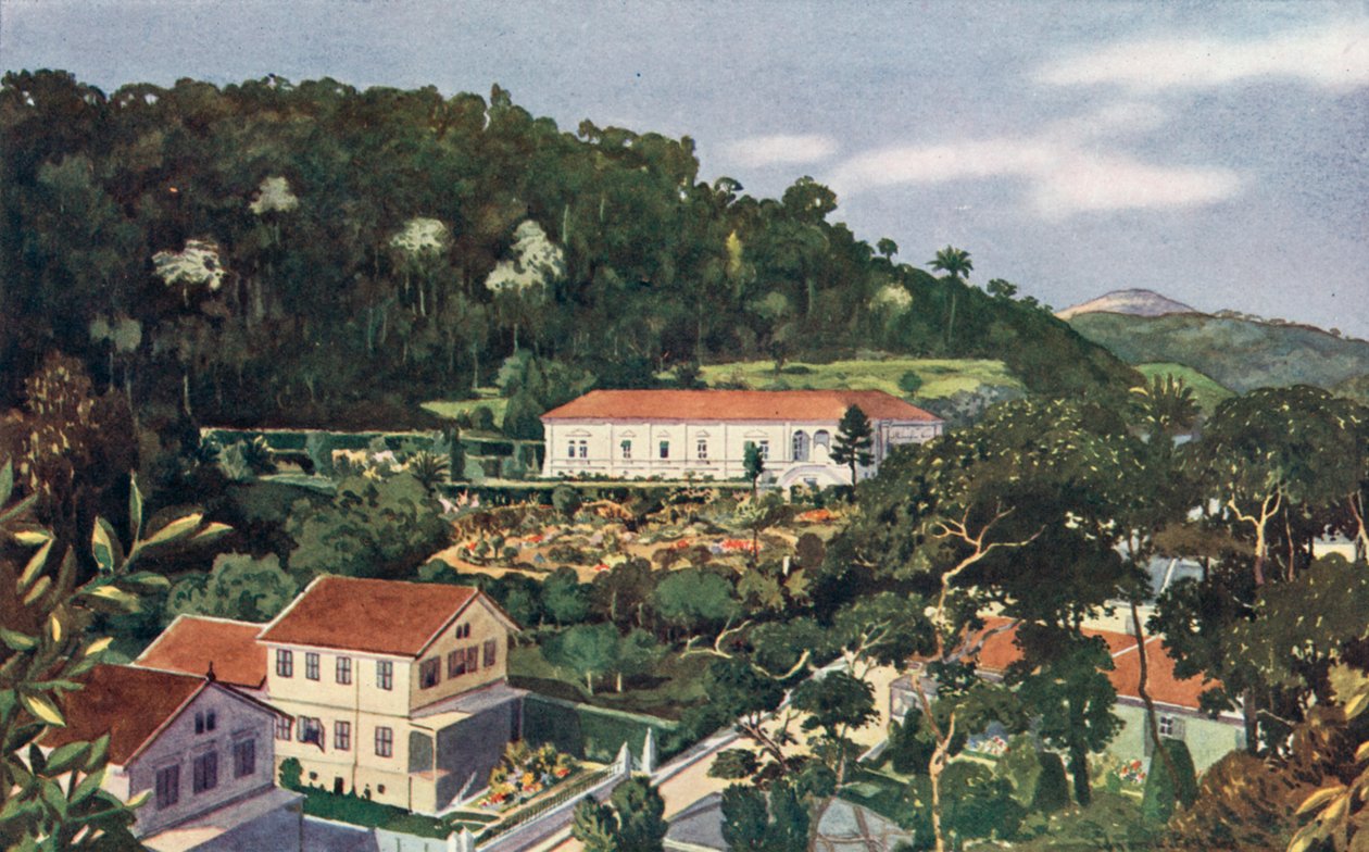 av European School