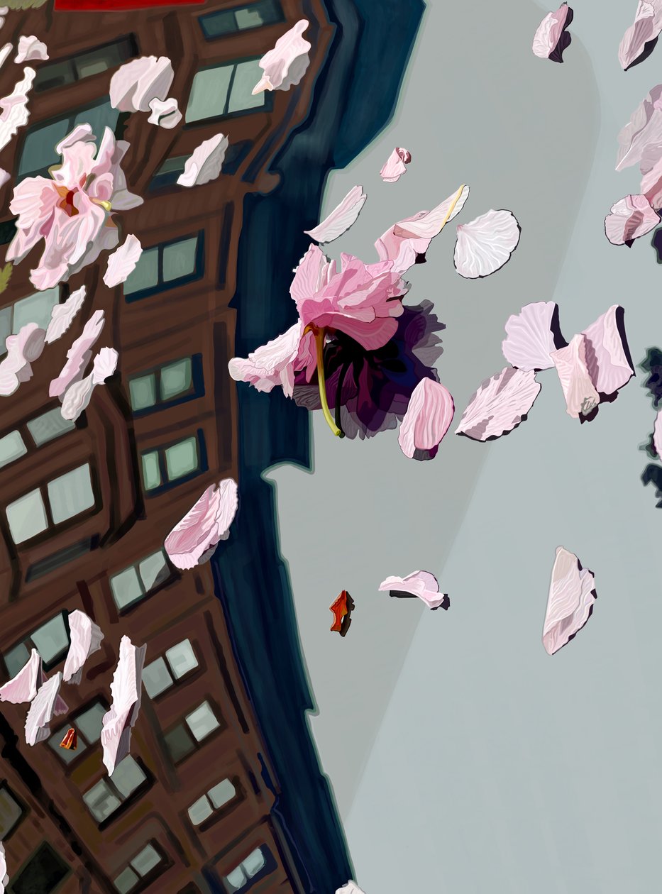 Kirsebærblomster blåst på bilfrontrute (digital kunst) av Evan Sklar