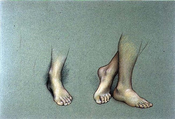 Study of Feet (pastell på papir) av Evelyn De Morgan