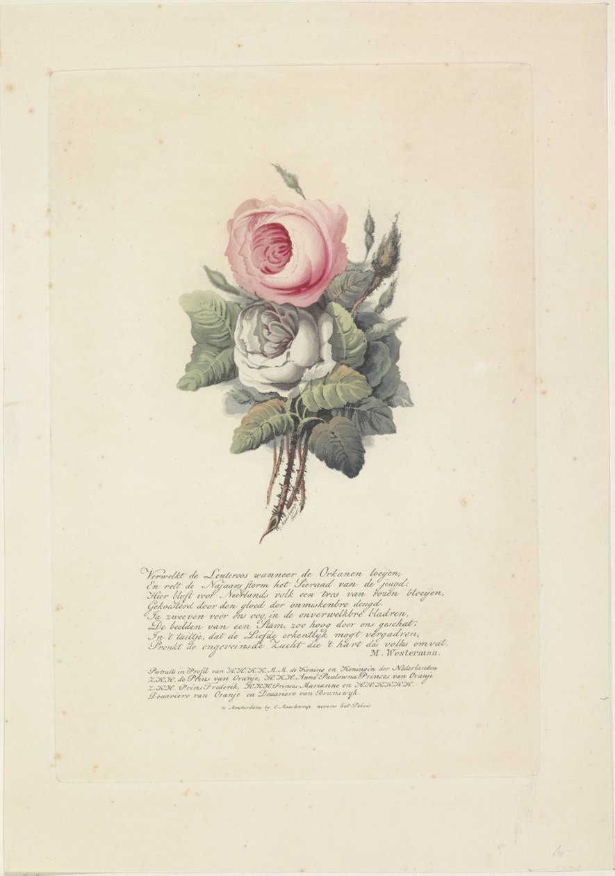 Roser med silhuettportretter av William I Frederik, kongen av Nederland, Wilhelmina av Preussen, deres barn, hans mor og hans søster av Evert Maaskamp