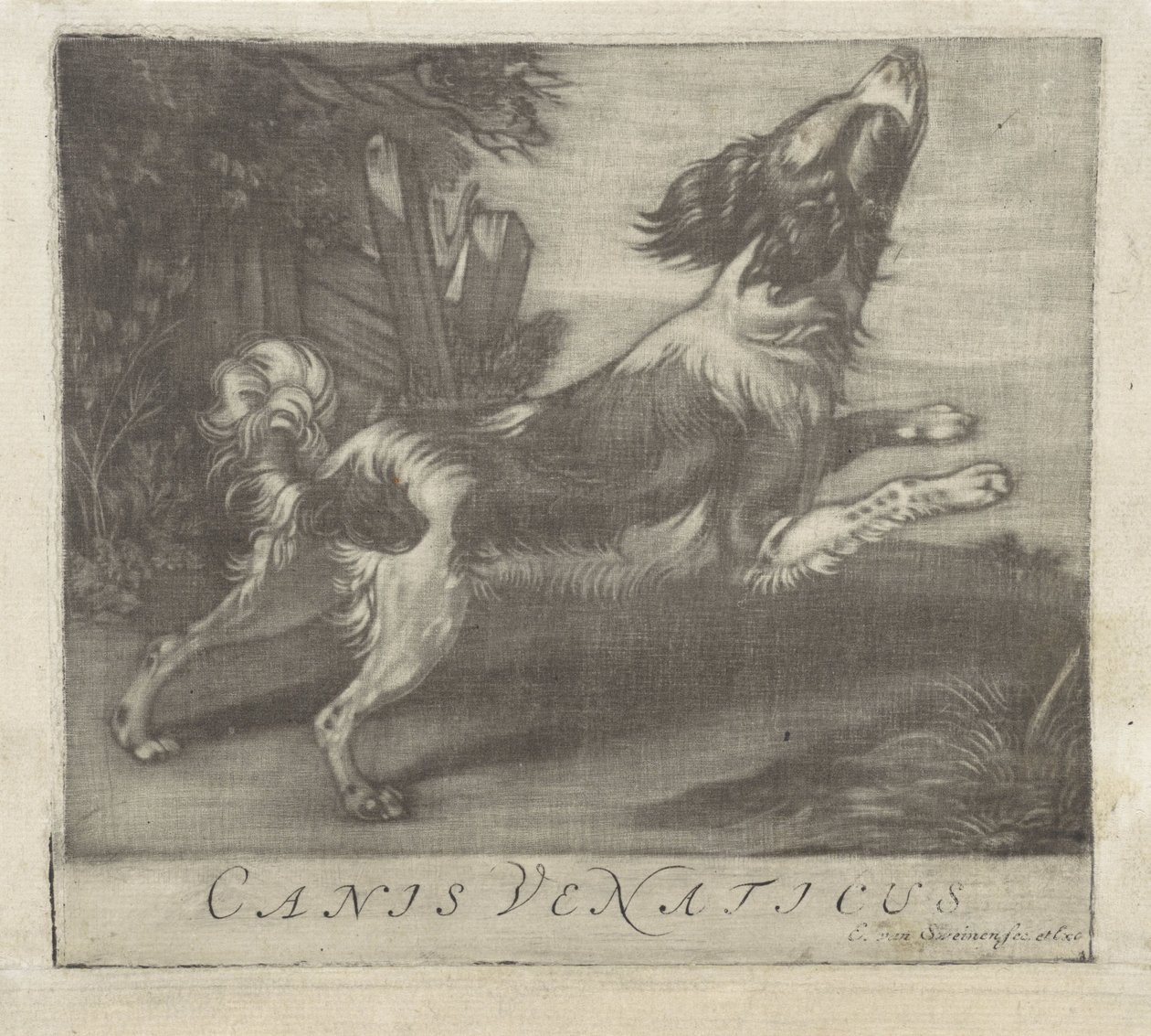 hoppende hund Canis Venaticus (tittel på objekt) av Evert van Sweinen