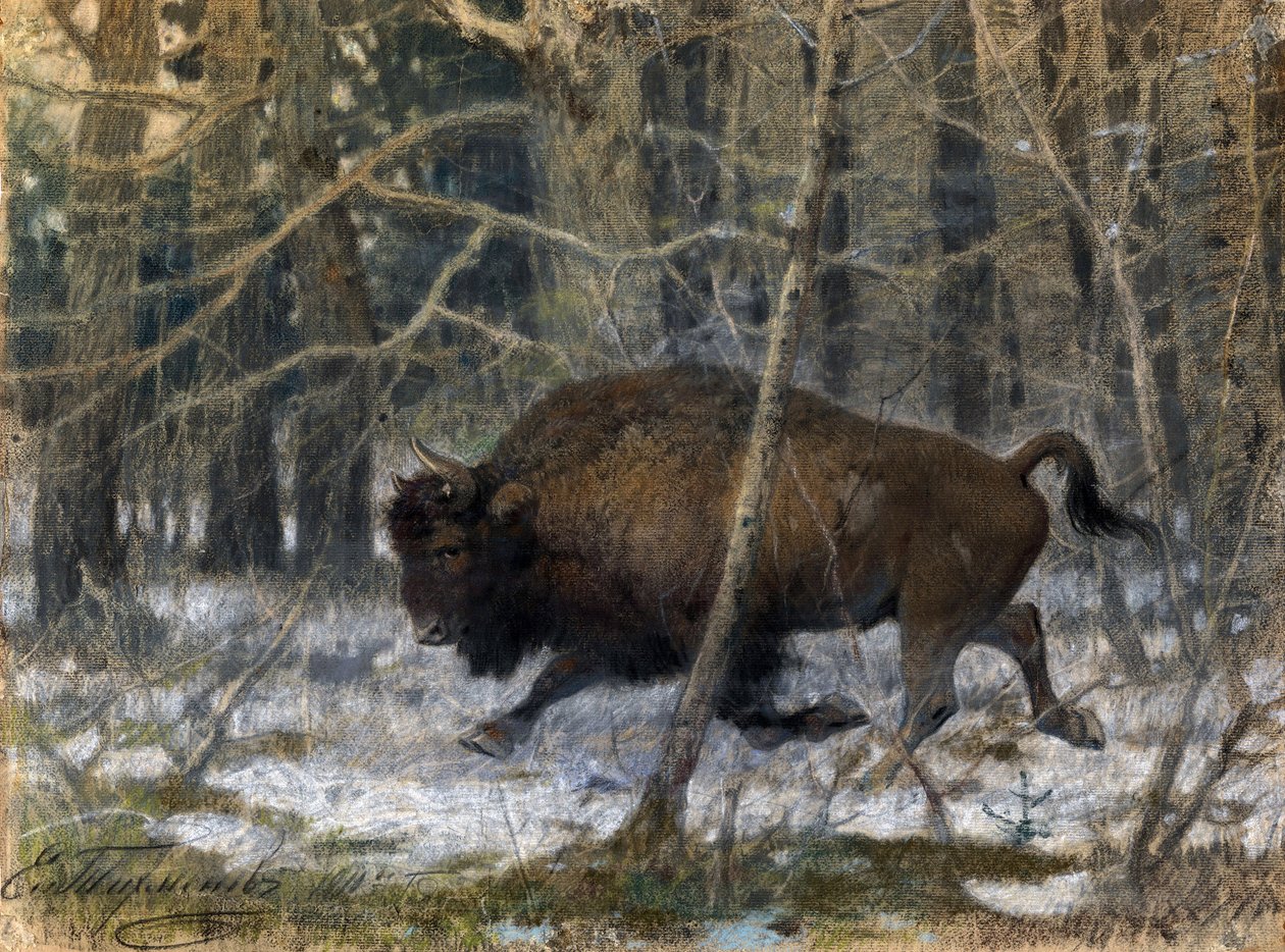 ""vedbisonen"" Pastellmaleri av Evgeny Alexandrovich Tichmenev (Tikhmenev) (1869-1934) 1910 Privat samling av Evgeny Alexandrovich Tikhmenev