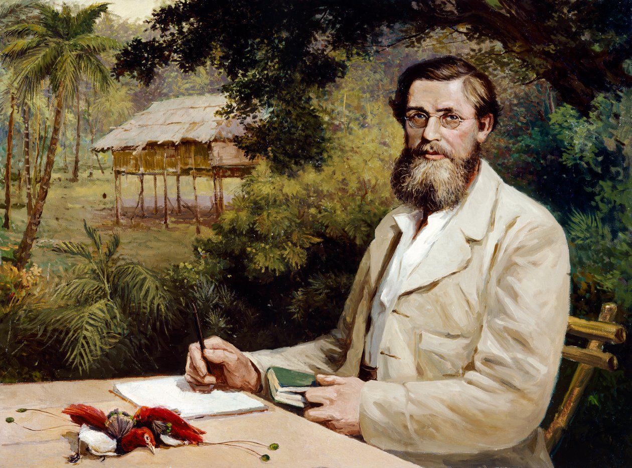 Alfred Russel Wallace (olje på lerret) av Evstafieff Evstafieff