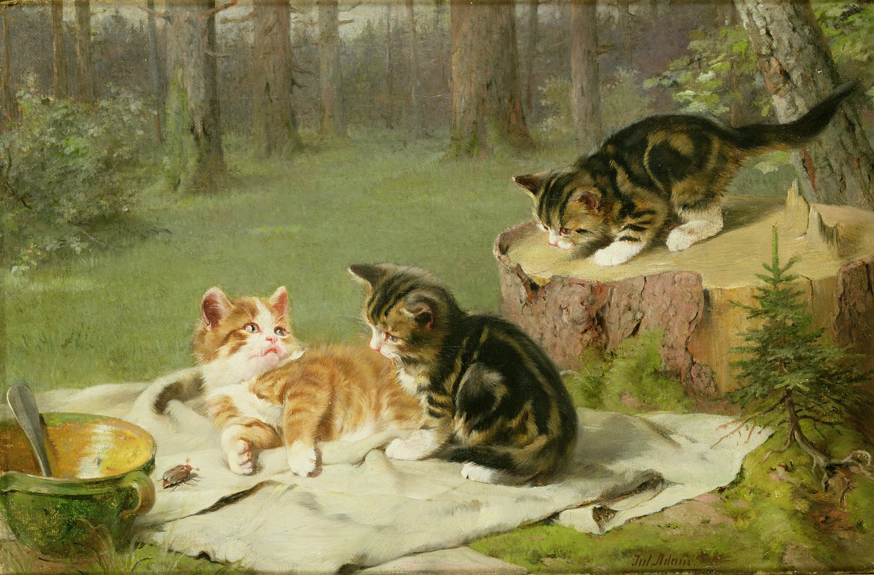 Kattunger som leker av Ewald Honnef