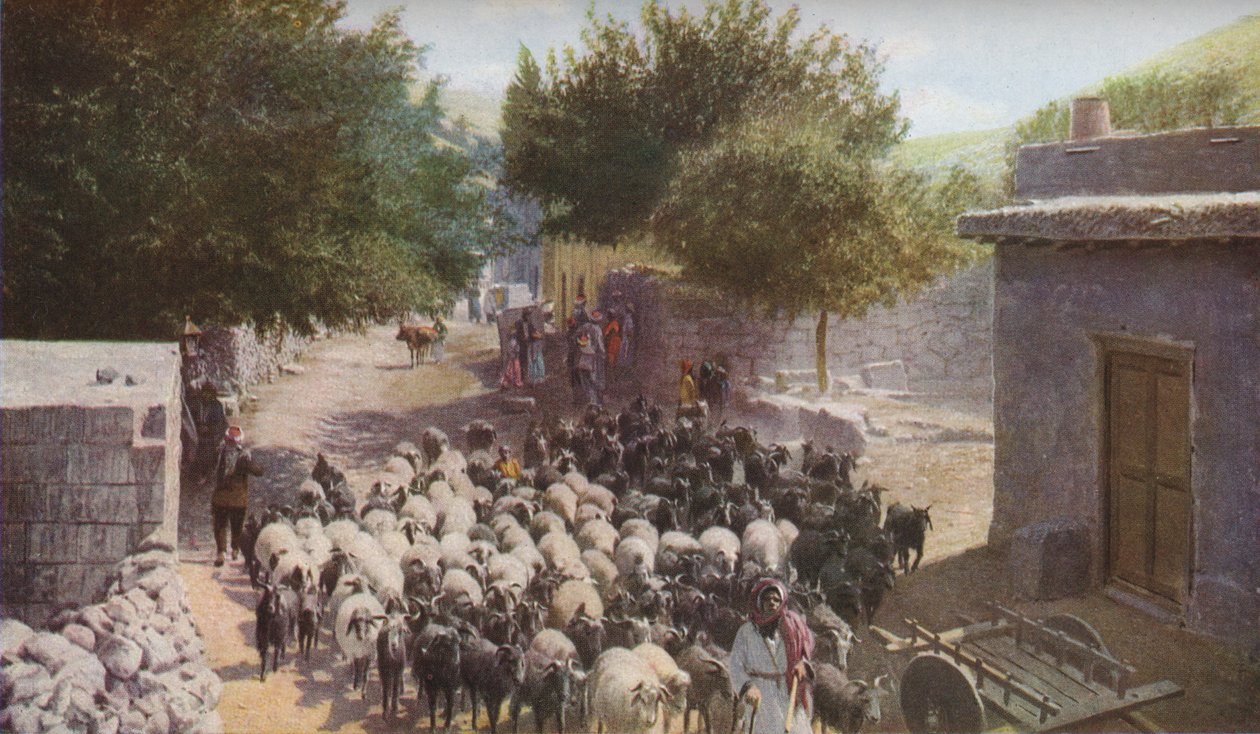 Palestina, ca 1930-tallet av Ewing Galloway