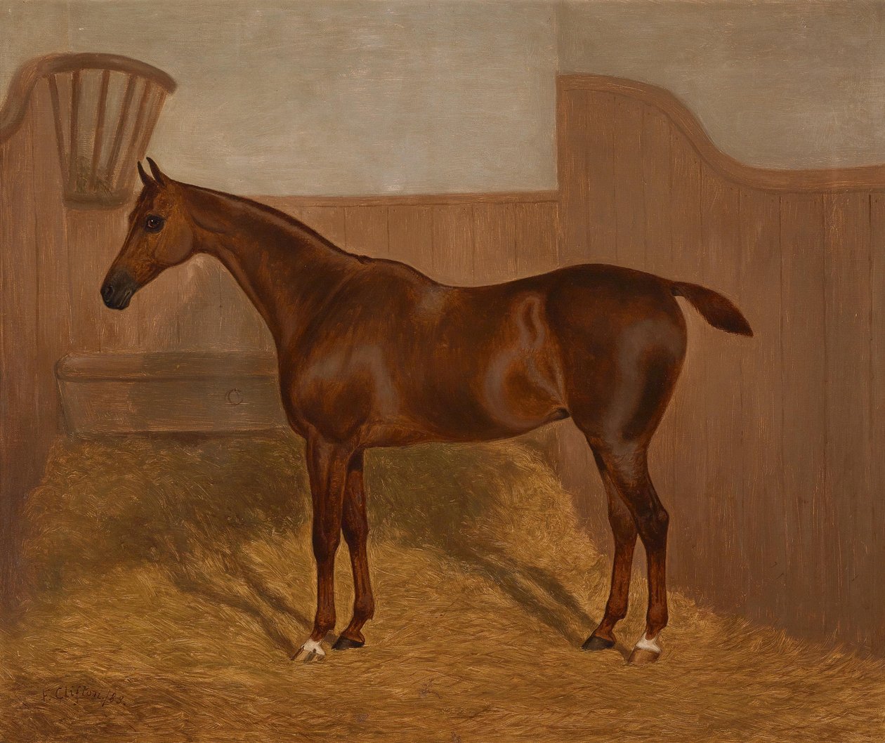Hesteportrett (Lady Oswestry eller Dandy, ett av to malerier som tilbys i ett parti med disse navnene) av F. Clifton
