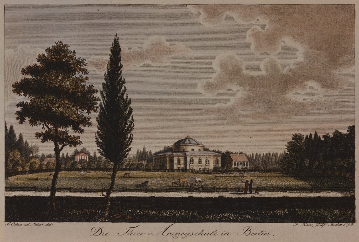 Veterinærskolen, Berlin, 1795 (radering) av F.A. Calau