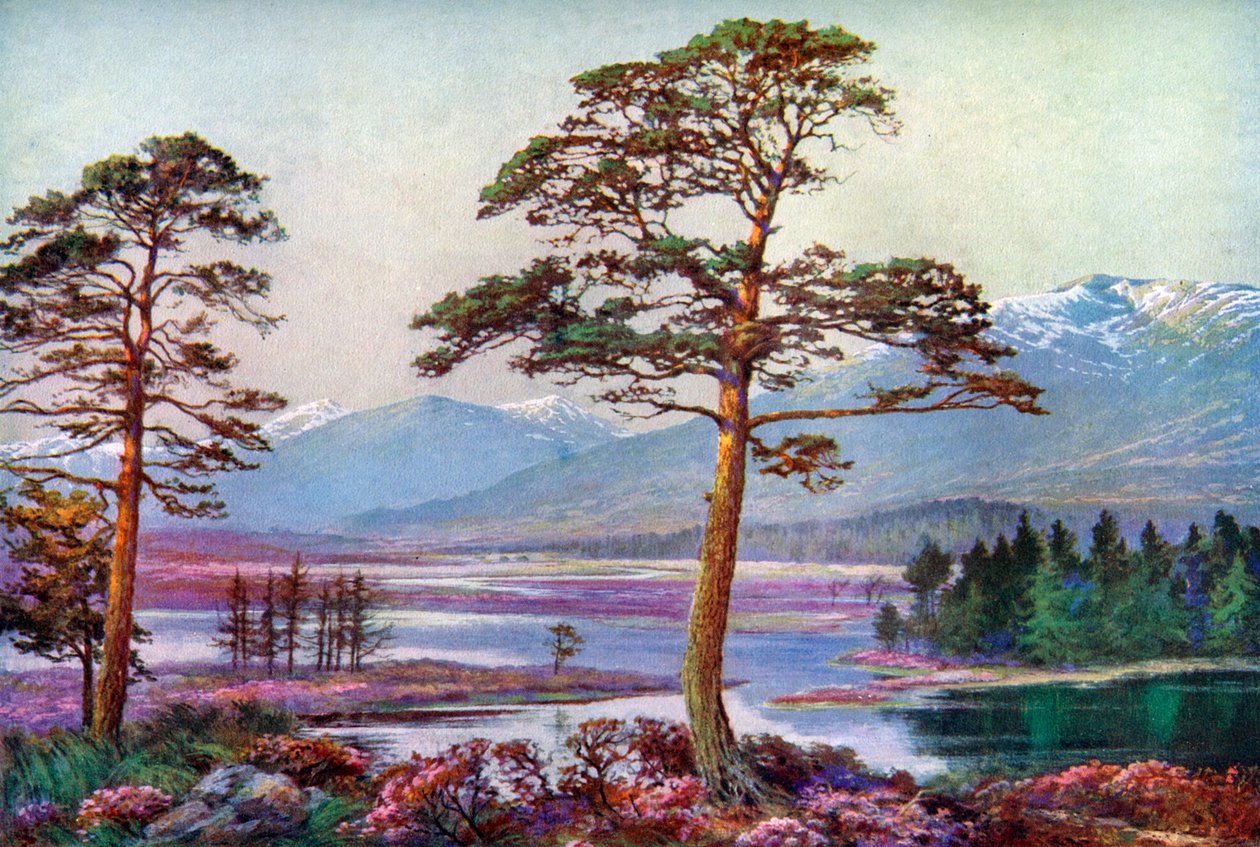 På Loch Tulla, Black Mount, Argyllshire, Skottland, 1924-1926. av F. C. Varley