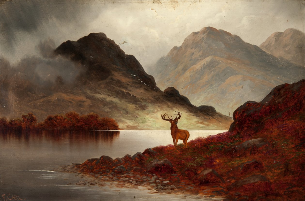 Stag at Bay (olje på lerret) av F. Carl