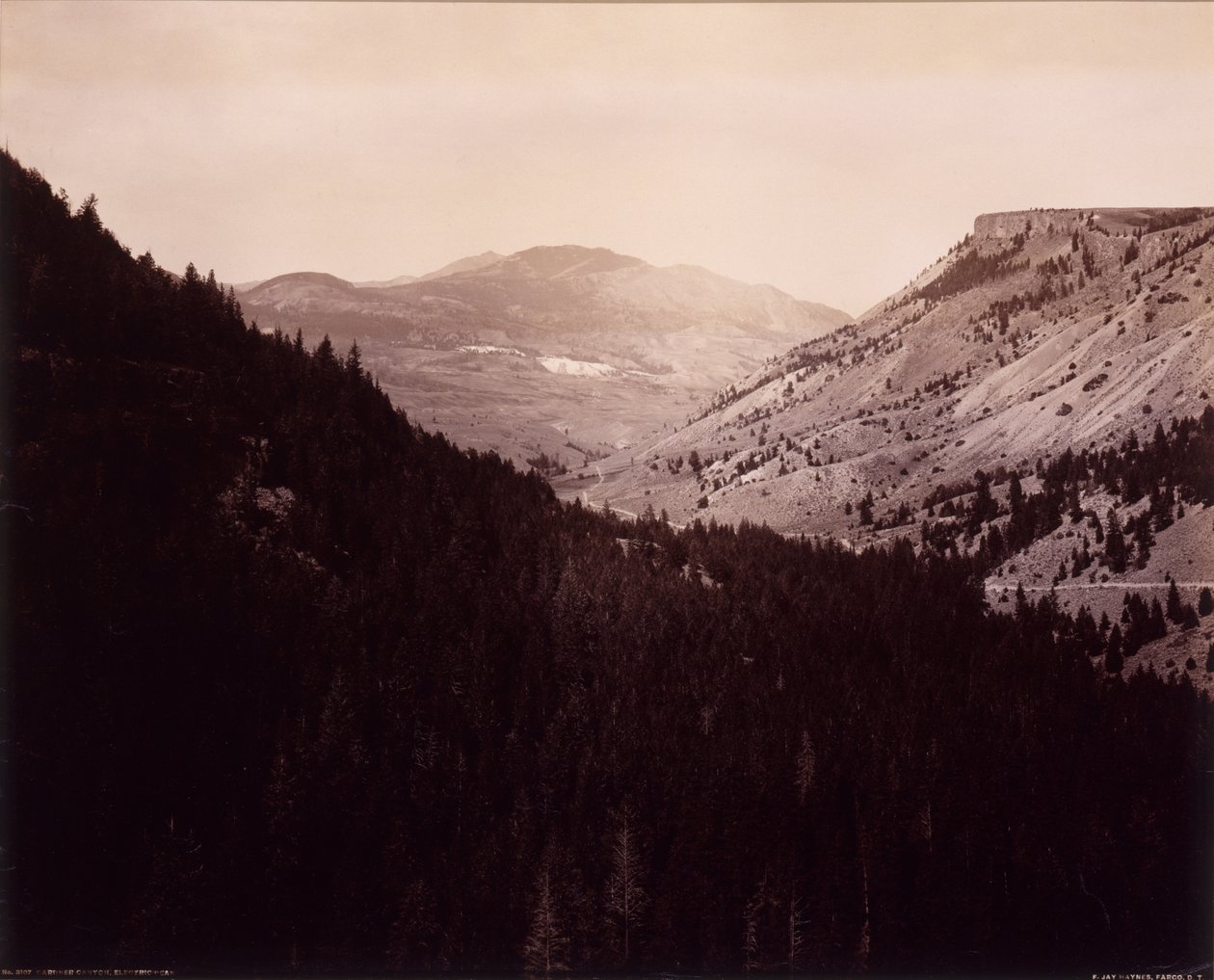  av F. Jay Haynes