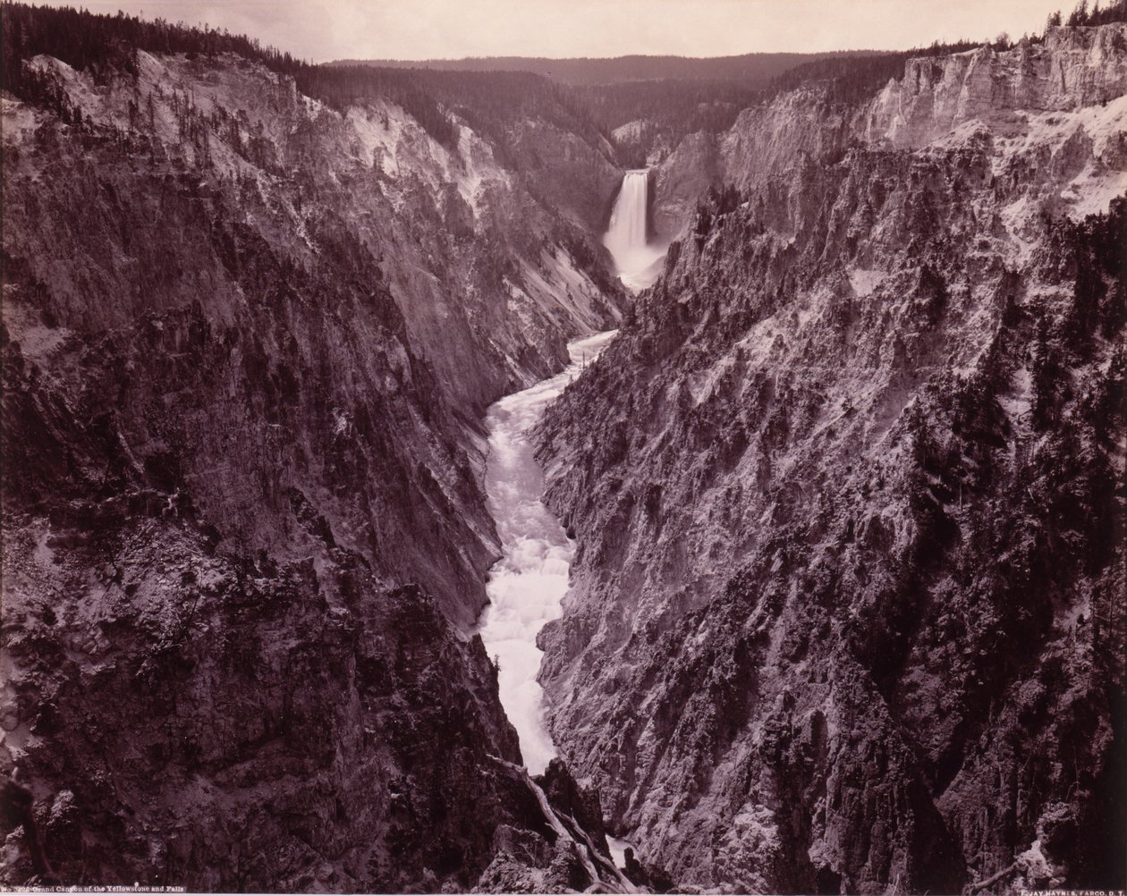  av F. Jay Haynes