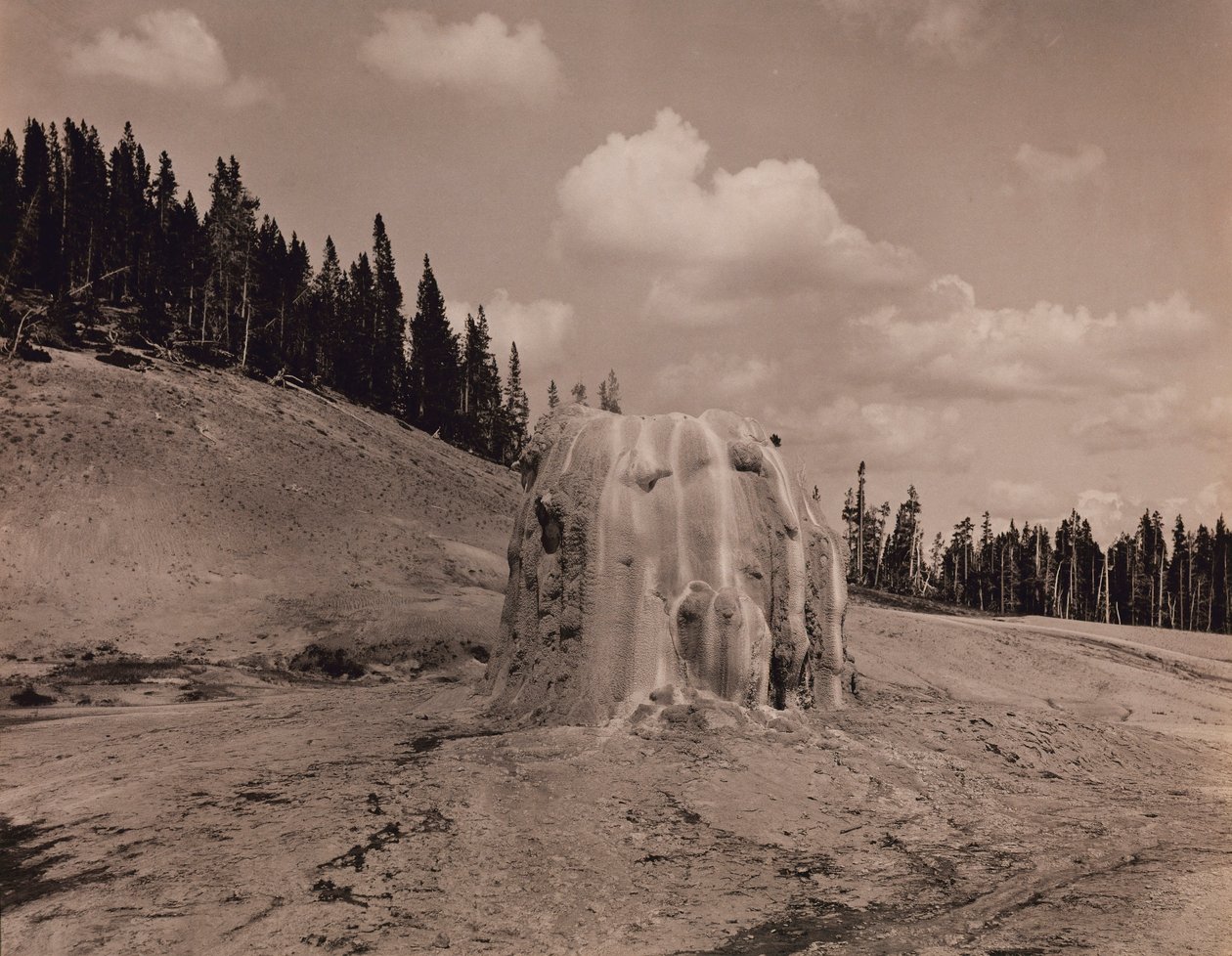  av F. Jay Haynes