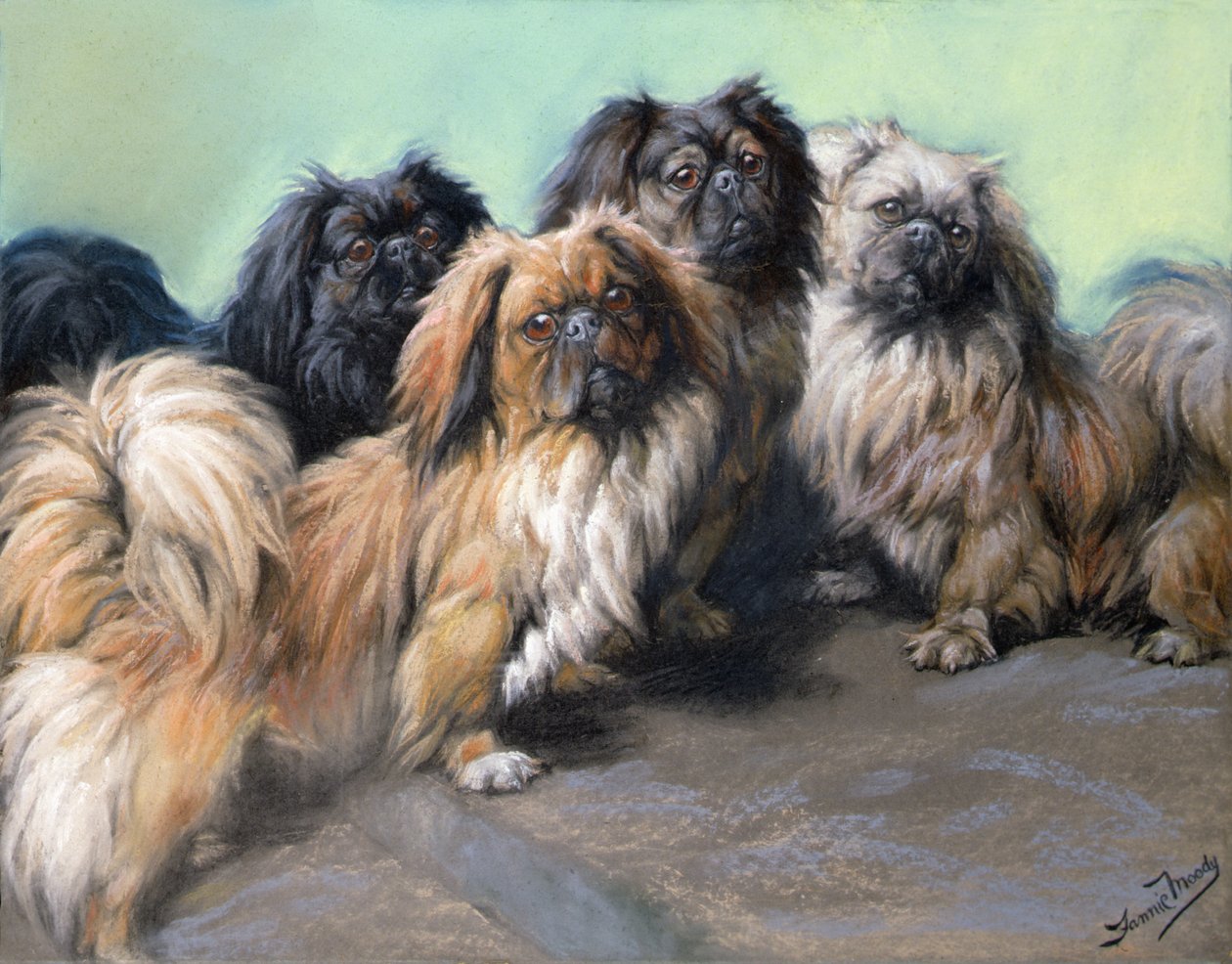 Spoiled Darlings (farget kritt) av Fannie Moody