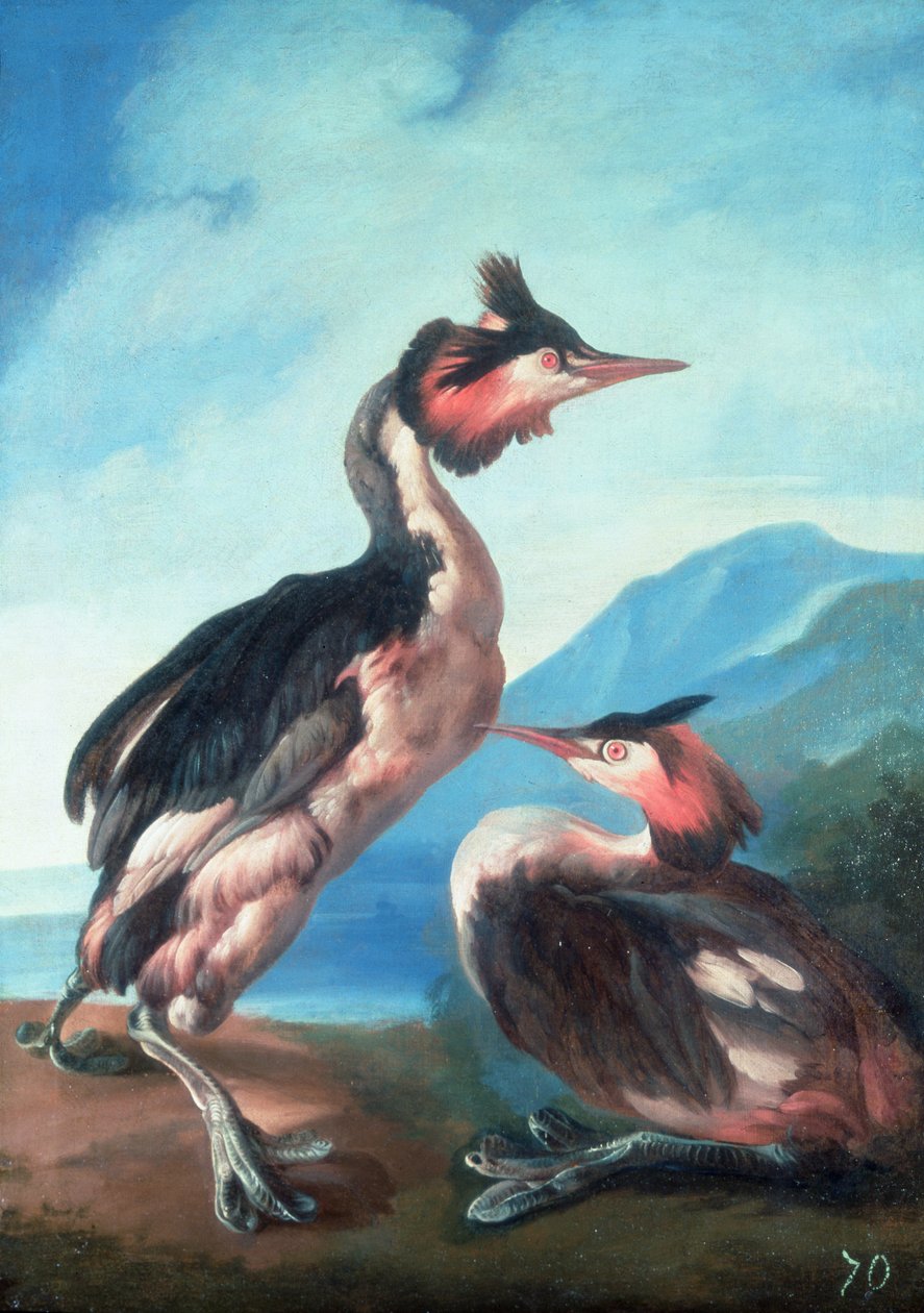 Et par dukker ved en elvebredd av Faustino Durante