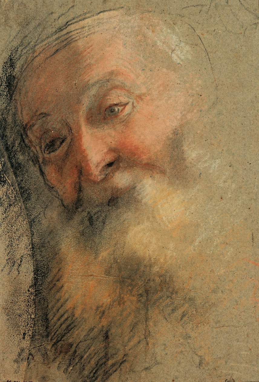 Hodet til en gammel skjegget mann, 1584-1586 av Federico Barocci