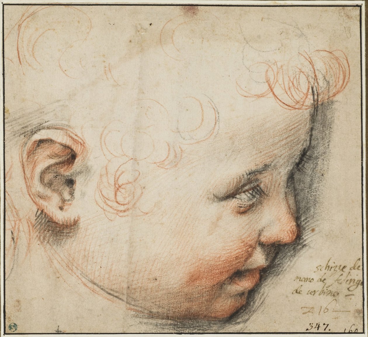 Et barnehode i profil; kanskje til Jesusbarnet av Federico Barocci