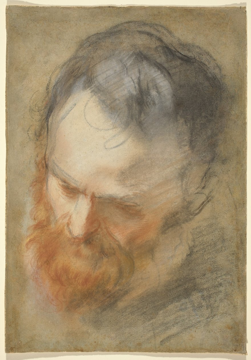 Hode av en skjegget mann av Federico Barocci