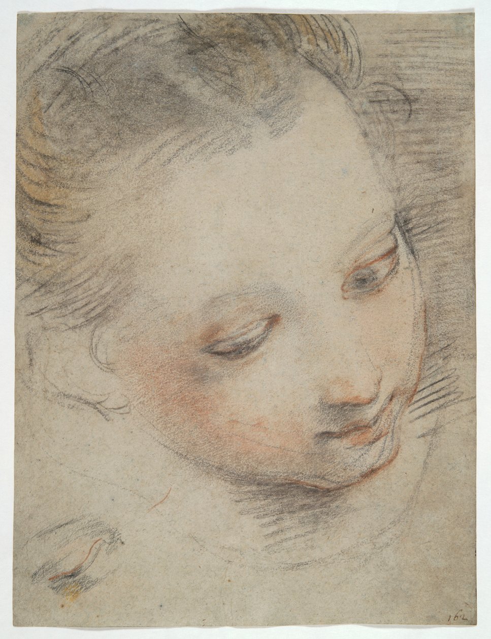 Head of a Girl, studer etter en figur i Madonna del Popolo-altertavlen i Uffizi av Federico Barocci