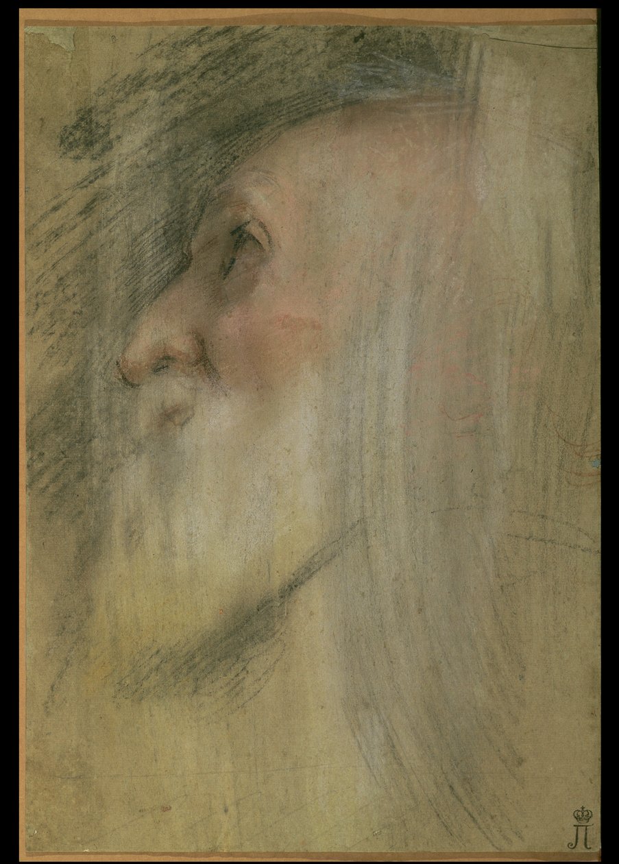 Head of an Old Man in Profile, ca. 1575-9 (pastell, svart kritt og sangvin) av Federico Barocci