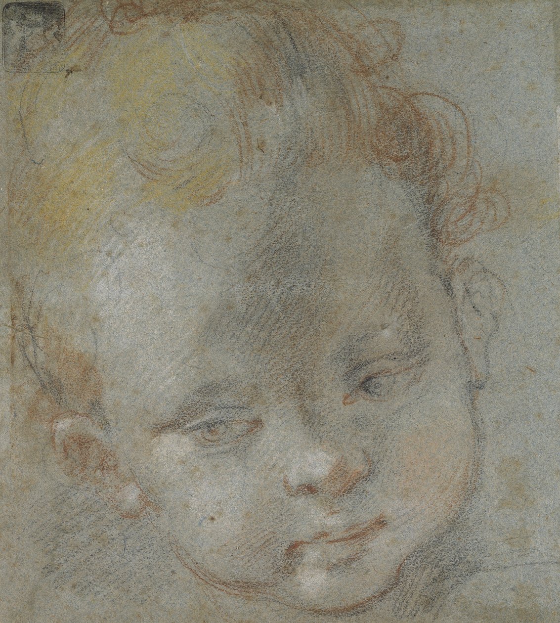 Recto: Head of a Child (svart, rødt, hvitt, rosa og gult kritt på blågrått papir) av Federico Barocci
