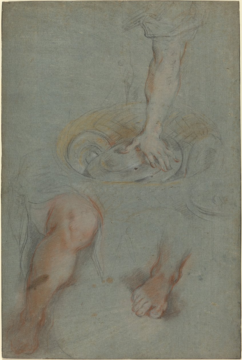 Studier for en tjener i "The Last Supper" av Federico Barocci