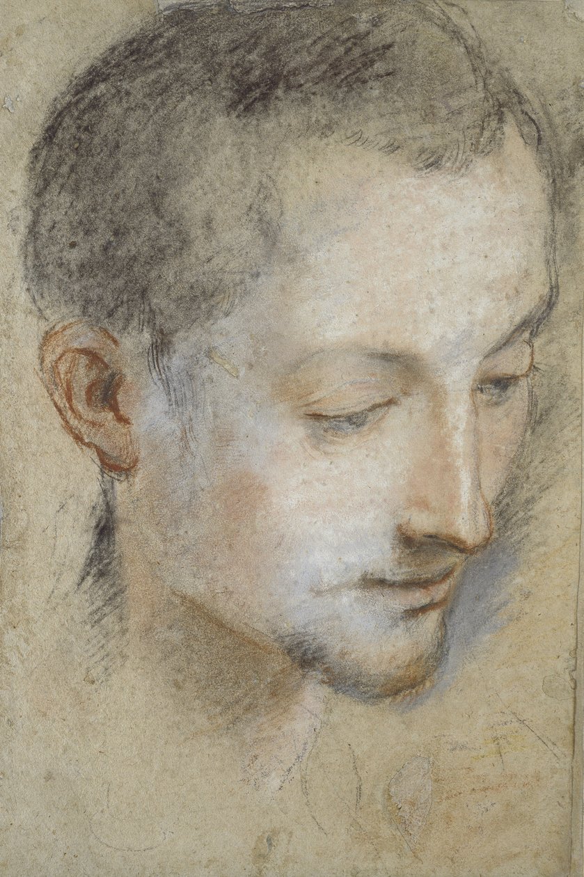 Studie av en ung manns hode (svart, rødt og rosa kritt på gråaktig papir) av Federico Barocci