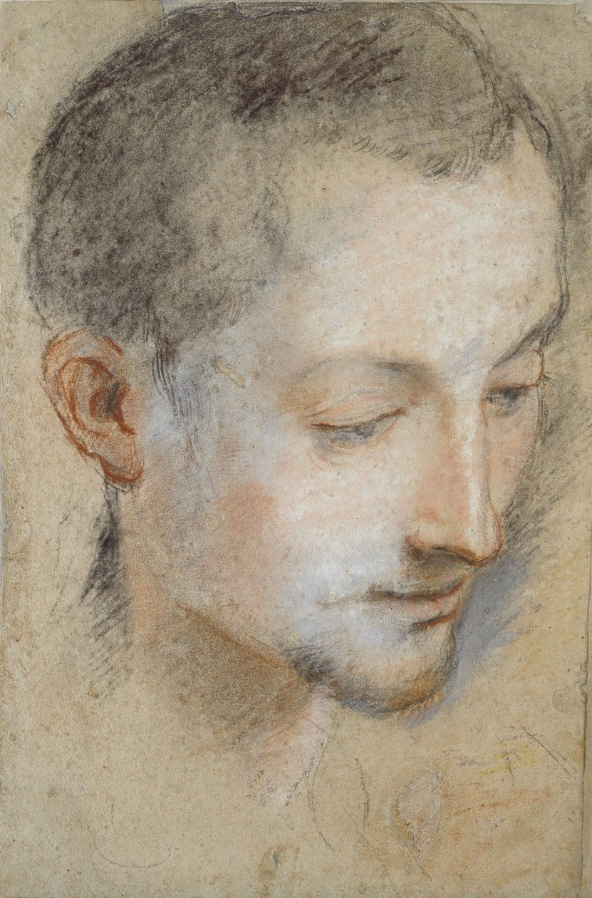 Studie av en ung manns hode, sent på 1500-tallet av Federico Barocci