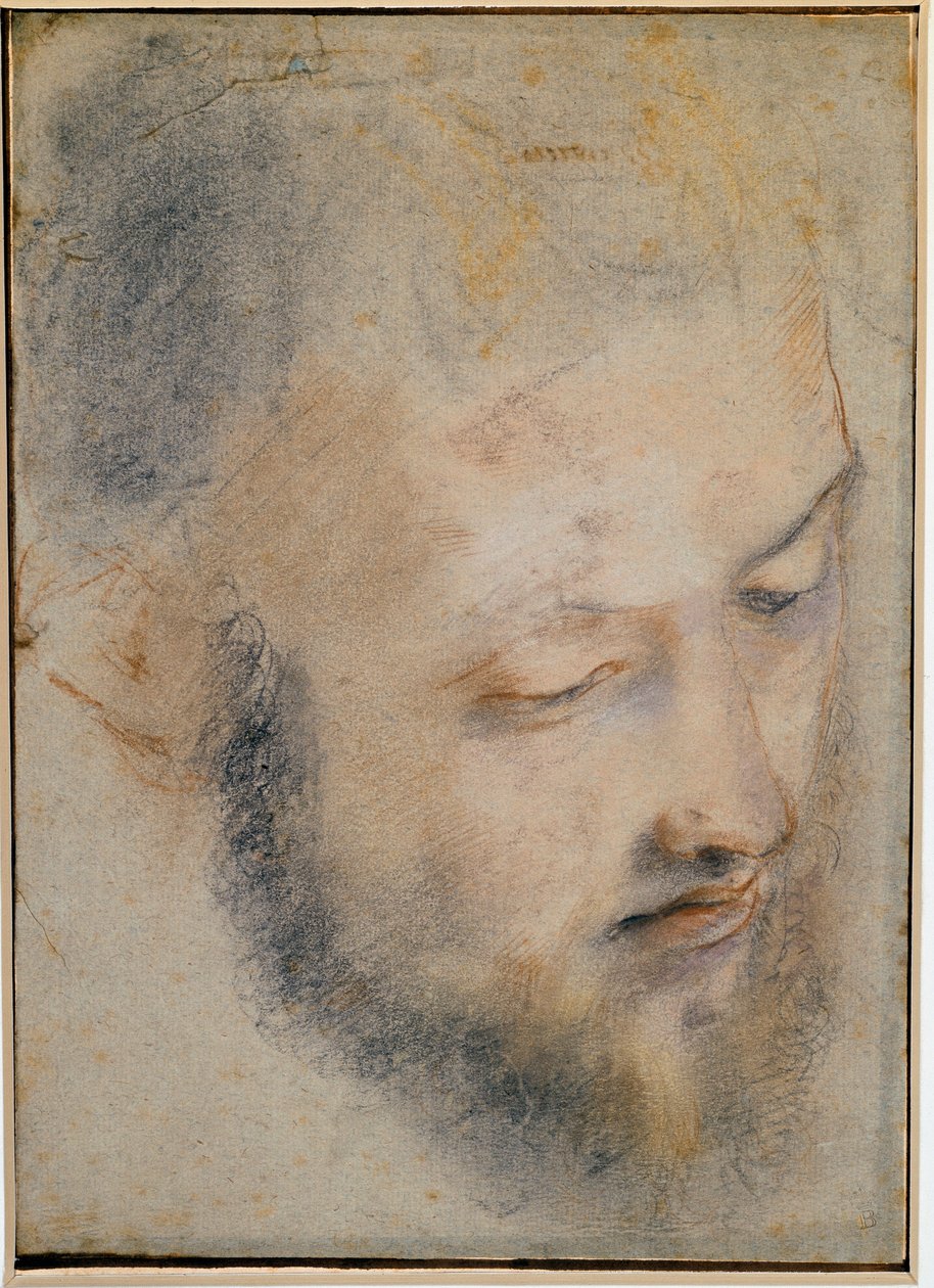 Study of head Drawing by Barocci av Federico Barocci