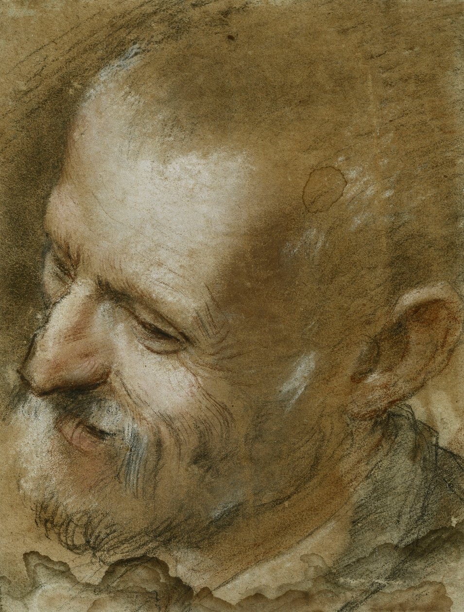Studie av hodet til en skjegget mann vendt mot venstre, 1590 av Federico Fiori Barocci or Baroccio