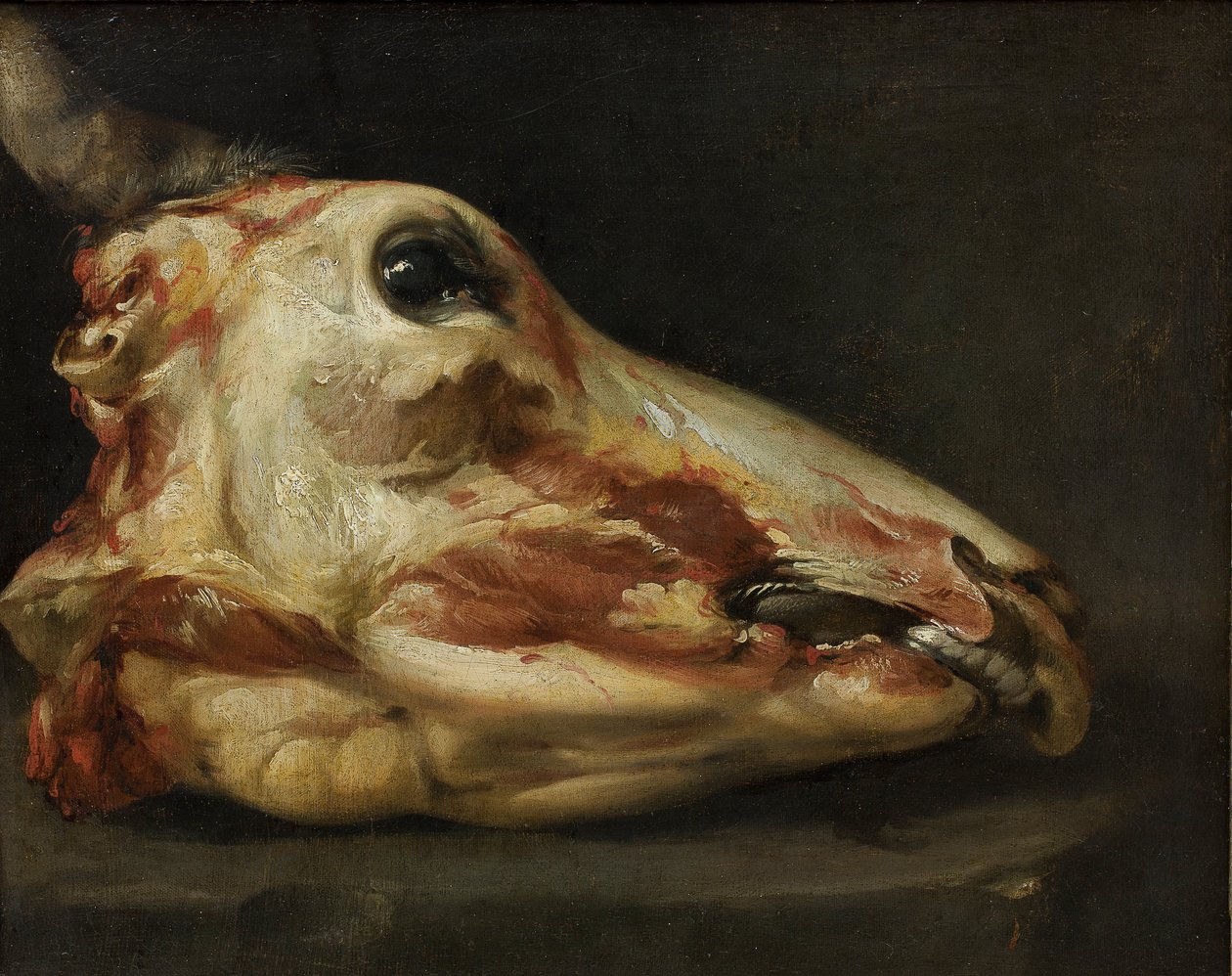 Skinned Head of a Young Bull av Felice Boselli