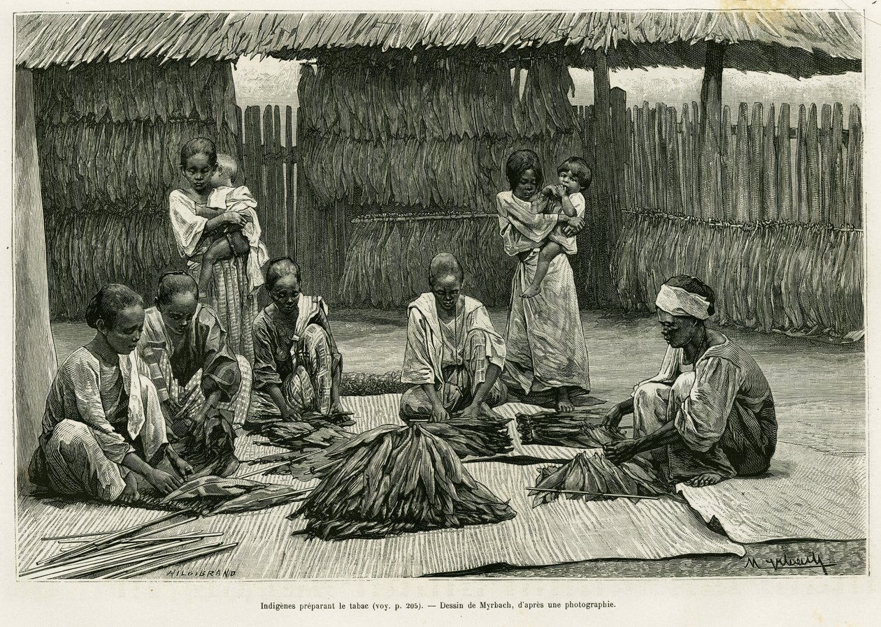 Urfolk som lager tobakk. Gravering av Myrbach for å illustrere historien Lucon og Palaouan, seks år på Filippinene, av Alfred Marche (1844-1898), i le tour du monde 1886, regissert av Edouard Charton (1807-1890), Hachette, Paris. av Felicien baron de Myrbach Rheinfeld