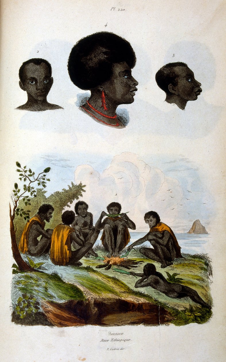 Antropologisk illustrasjon som viser den etiopiske rasen av Felix-Edouard Guerin