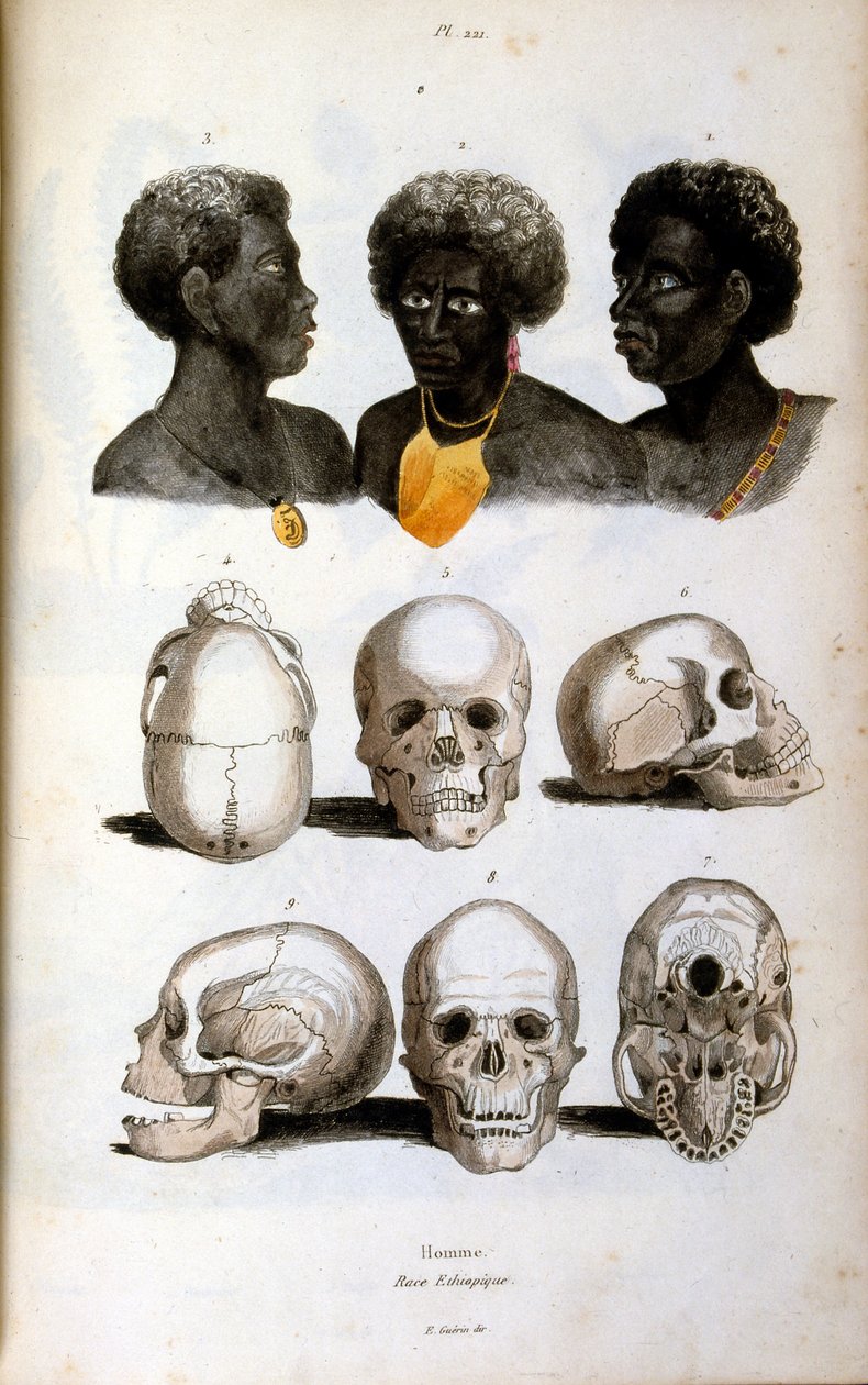 Antropologisk illustrasjon som viser den etiopiske rasen av Felix-Edouard Guerin