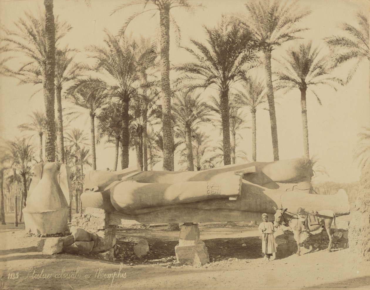 Kolosal klassisk statue i Memphis (Senwosret III) av Félix Bonfils