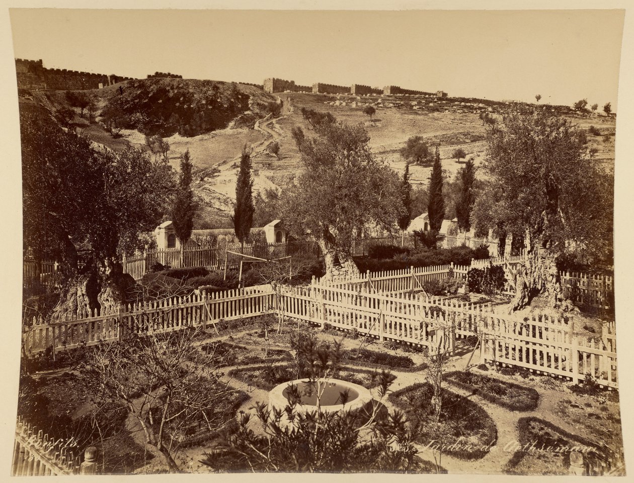 Getsemane hage av Félix Bonfils