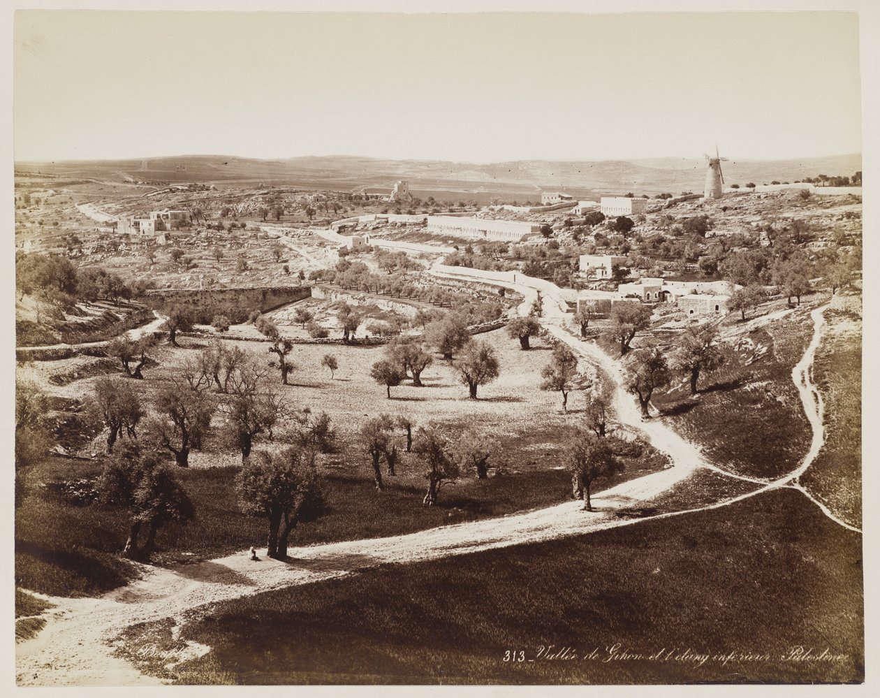 Dal i ... Palestina #313 av Félix Bonfils