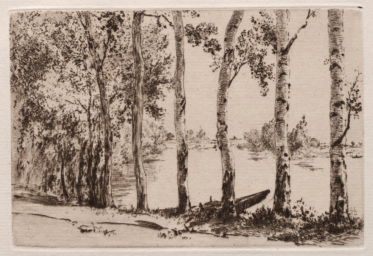 Osp på Seinebredden av Felix Bracquemond