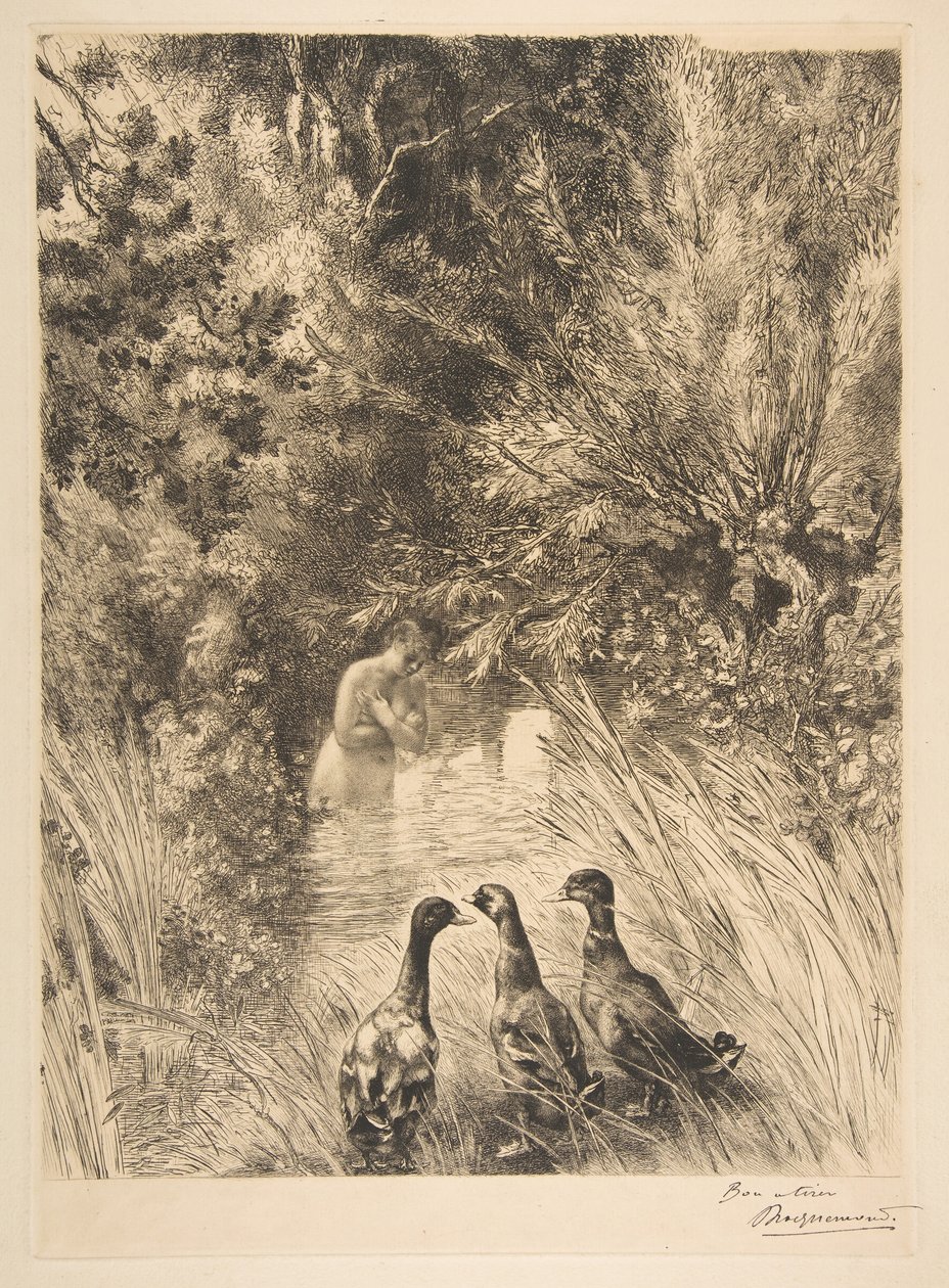 Overrasket ender, 1882. av Felix Bracquemond