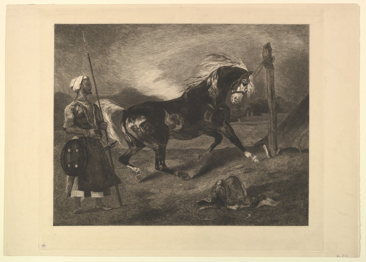 Arabisk hest på innsats, etter Delacroix, 1857. av Felix Bracquemond