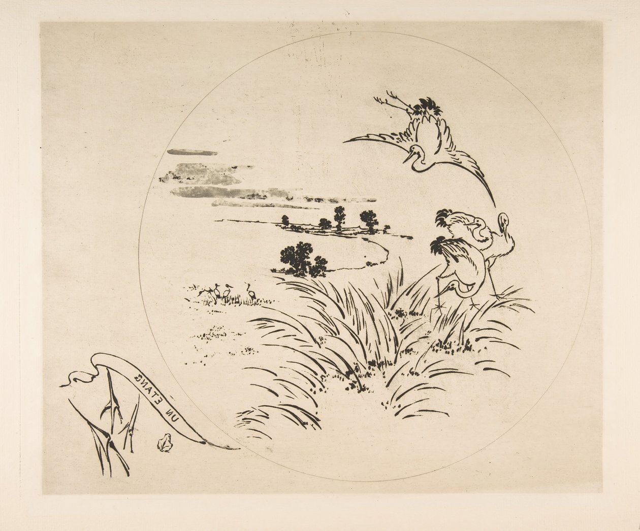 Dekorasjon for en tallerken: A Pond, 1870. av Felix Bracquemond